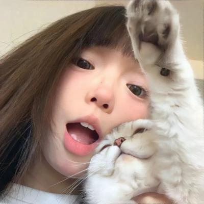 上海迷雾
